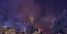 Incendio nella notte divora ettari di bosco