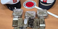 Trovati 2,5 chili di hashish in un sacchetto