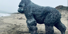 Un gorilla di bronzo guarda il mare dalla spiaggia