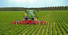 Agricoltura, 20.540 aziende perdute in 10 anni