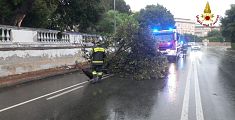 Maltempo, grosso ramo precipita sulla strada