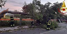 Strada bloccata da un albero caduto 
