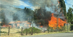 Incendio distrugge tre ettari di vegetazione
