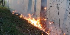 Imperversa un incendio e brucia il bosco