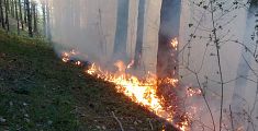 In sette mesi bruciati in Toscana 400 ettari
