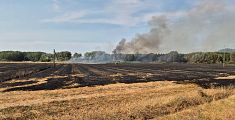 Divampa l'incendio vicino alla piscina