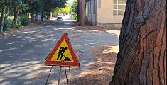 Via Solvay, rimossi i rami pericolanti