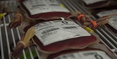 Febbre del Nilo, 5.000 test al mese sul sangue donato