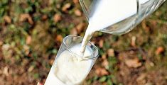 Guerra del latte, allevatori in perdita ma prezzi sugli scaffali alle stelle