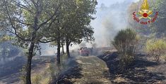 L'incendio si propaga dal fotovoltaico al bosco