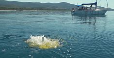 Un drone subacqueo contro la pesca illegale