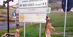 Due lupi impiccati al cartello del paese