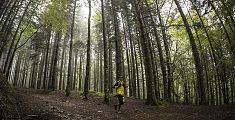 Trail Sacred Forests, è già conto alla rovescia