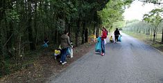 Quaranta sacchi di rifiuti nei boschi di Luiano