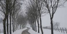 Neve e vento, nuova allerta in Toscana