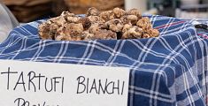 Il tartufo bianco va in scena per il gran finale