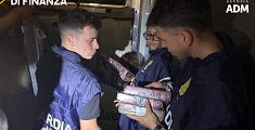 Chili di cocaina nel container delle banane