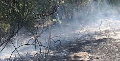Le fiamme divorano 6 ettari di vegetazione