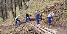 Operai forestali, la Regione assicura gli stipendi