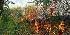 Incendio a Torrino, bruciati due ettari di terreno