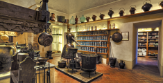 ​Museo Aboca: un polo culturale a Sansepolcro