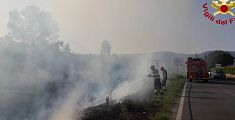 Vasto incendio di sterpaglie vicino all'interporto Toscana Centrale