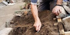 Dagli scavi archeologici riaffiora uno scheletro intero