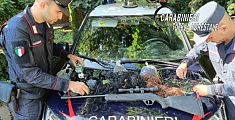 Caccia illegale, multato un 50enne 