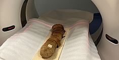 Mummia di gatto nella Tac, caccia ai segreti egizi
