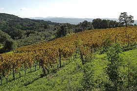 Il nuovo Suvereto Docg alla prova del Vinitaly