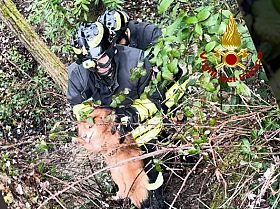 L'intervento di soccorso