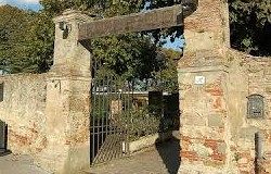 Le donne della Costituente, focus su Elettra Pollastrini