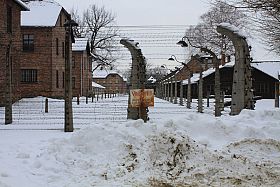 Shoah, si celebra il ricordo in sala consiliare