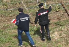 Controlli nel settore agricolo, pioggia di sanzioni e denunce