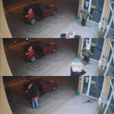 Trovano la clinica chiusa e la predono a calci 