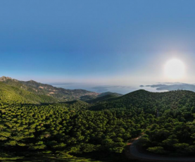 Torna la Green Week di Acqua dell'Elba
