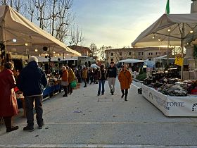 Il mercato di Forte dei Marmi in Valdera