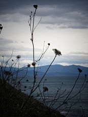 ​Ci sarebbe da fa’ un caffettino…