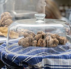 Al via il secondo weekend di tartufo ed esperienze