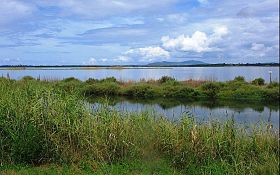 Alte temperature, la laguna è monitorata speciale