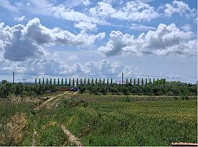 Indicate le aree coinvolte nel progetto TI-Link