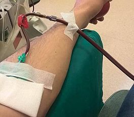 Avis Elba, superate le mille donazioni