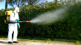 Dengue e Chikungunya, appello alla Regione Toscana