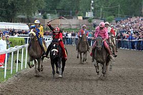 Un progetto sul Palio nelle scuole