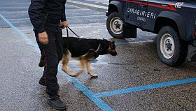 Traffico di droga tra Spagna e Italia, le condanne