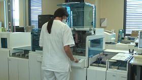 Covid, 23 nuovi casi in 7 giorni