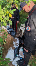 Smantellato bivacco nella riserva delle Cerbaie