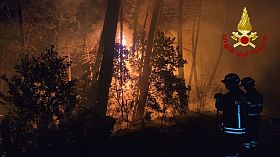 Incendio divampa nel bosco, fiamme nella notte
