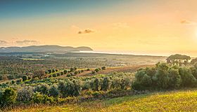 Arrivi e presenze, i numeri della Val di Cornia