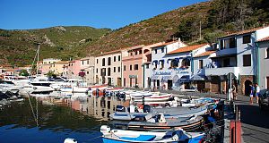 Un residente dell'isola segnala i collegamenti cancellati oggi e con troppa frequenza fra Livorno e Capraia